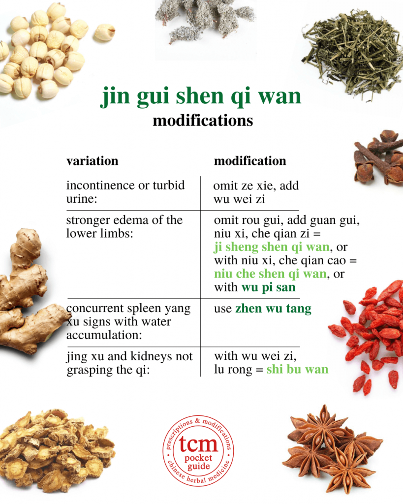 tcm pocketguide - jin gui shen qi wan • kidney qi pill from the golden cabinet • 金匱腎氣丸 - modifications 2