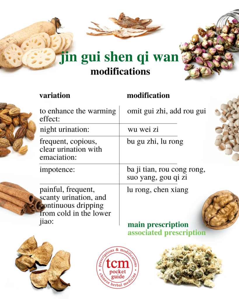 tcm pocketguide - jin gui shen qi wan • kidney qi pill from the golden cabinet • 金匱腎氣丸 - modifications