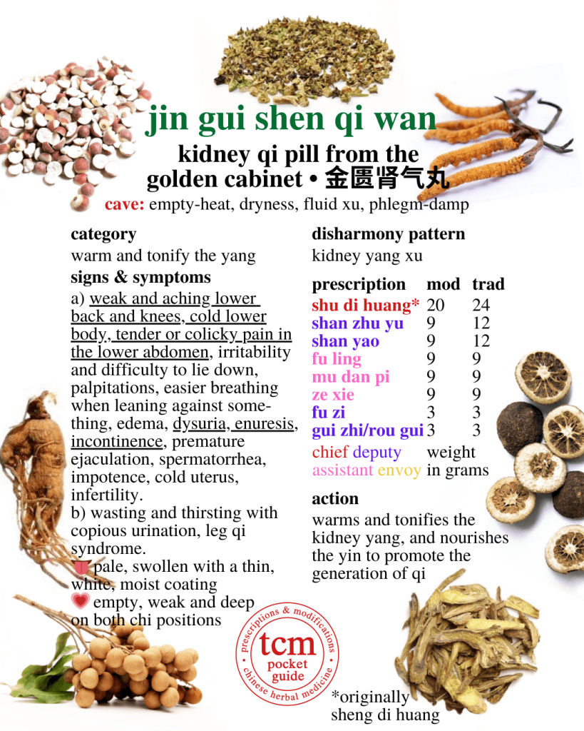 tcm pocketguide - jin gui shen qi wan • kidney qi pill from the golden cabinet • 金匱腎氣丸 - prescription