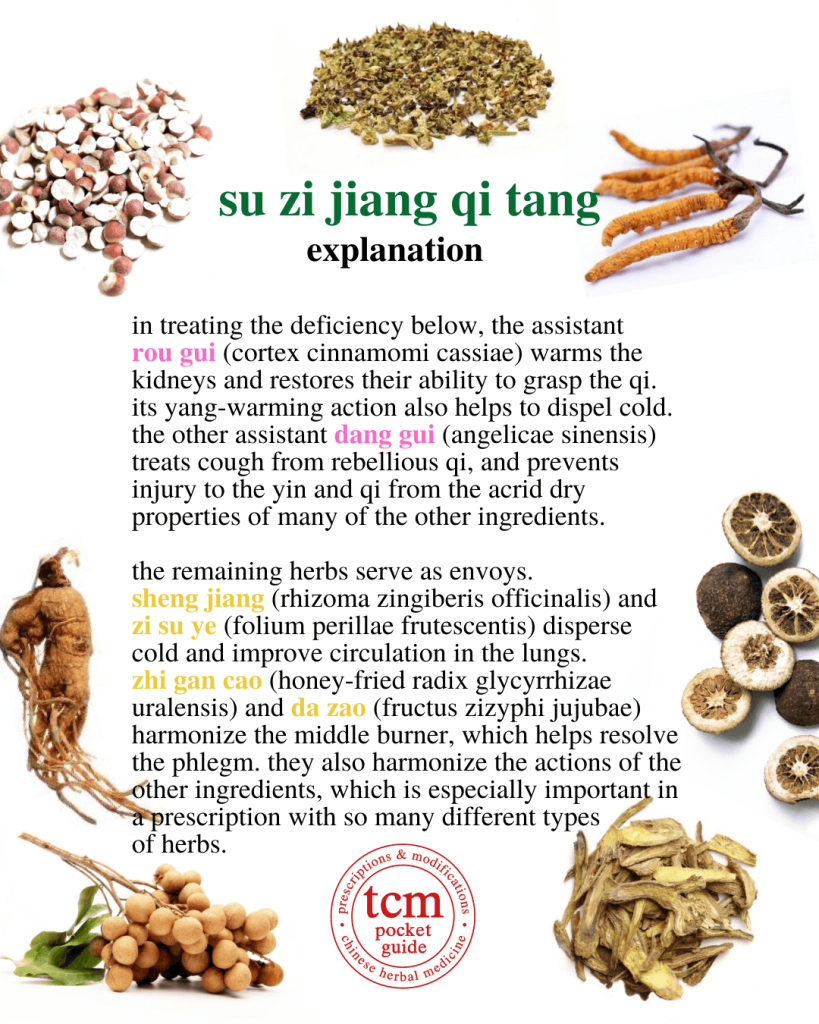 tcm pocketguide - su zi jiang qi tang • perilla fruit decoction for directing qi downward • 苏子降气汤 - explanation II