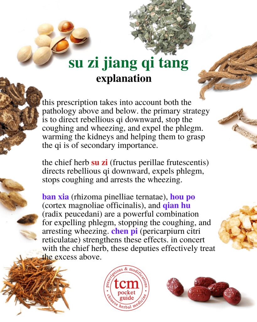 tcm pocketguide - su zi jiang qi tang • perilla fruit decoction for directing qi downward • 苏子降气汤 - explanation