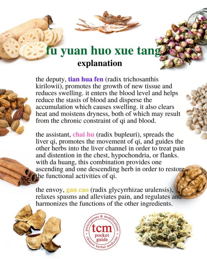 tcm pocketguide - fu yuan huo xue tang • revive health by invigorating the blood decoction • 复元活血汤 - explanation 2
