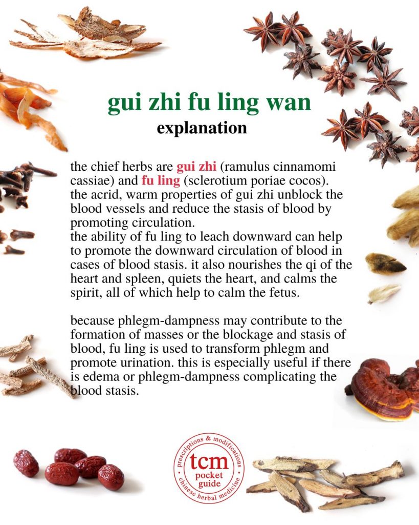 tcm pocketguide - gui zhi fu ling wan • cinnamon twig and poria pill • 桂枝茯苓丸 - explanation
