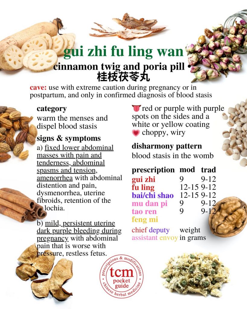 tcm pocketguide - gui zhi fu ling wan • cinnamon twig and poria pill • 桂枝茯苓丸 - prescription