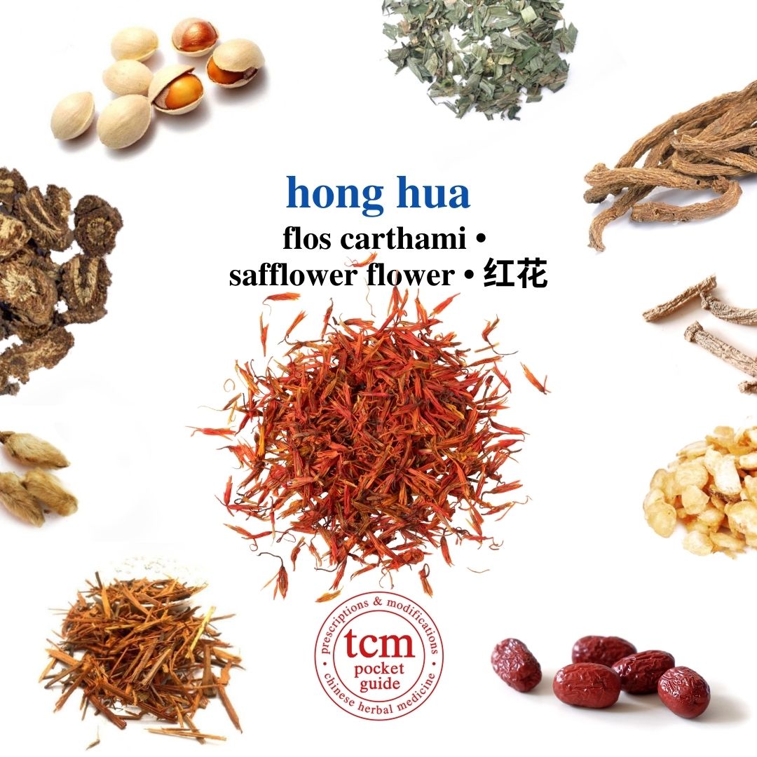 tcm pocketguide - hong hua • flos carthami • safflower flower • 红花 - herb