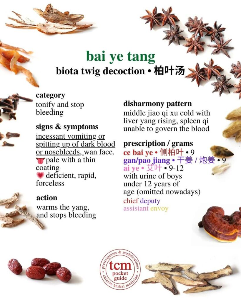tcm pocketguide - bai ye tang • biota twig decoction • 柏叶汤 -prescription