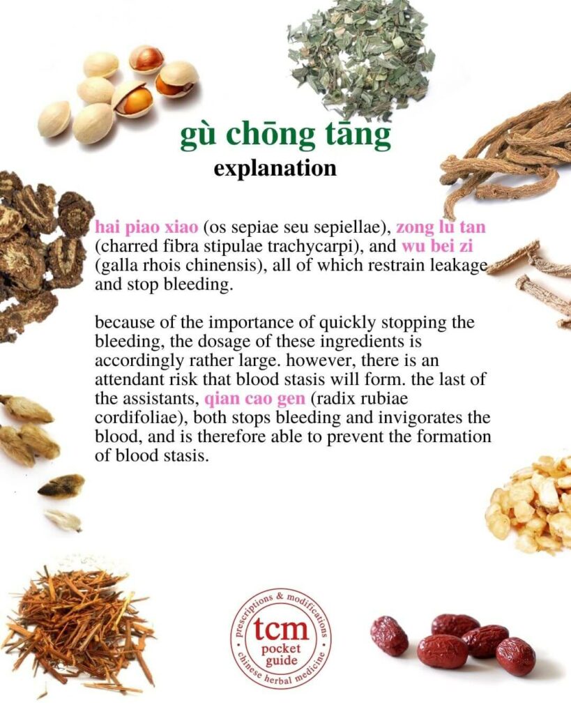 tcm pocketguide - gu chong tang • stabilize gushing decoction • 固冲汤 - explanation 2
