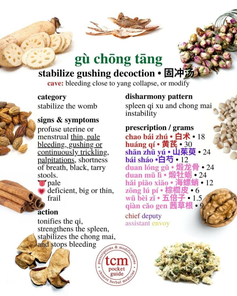 tcm pocketguide - gu chong tang • stabilize gushing decoction • 固冲汤 - prescription