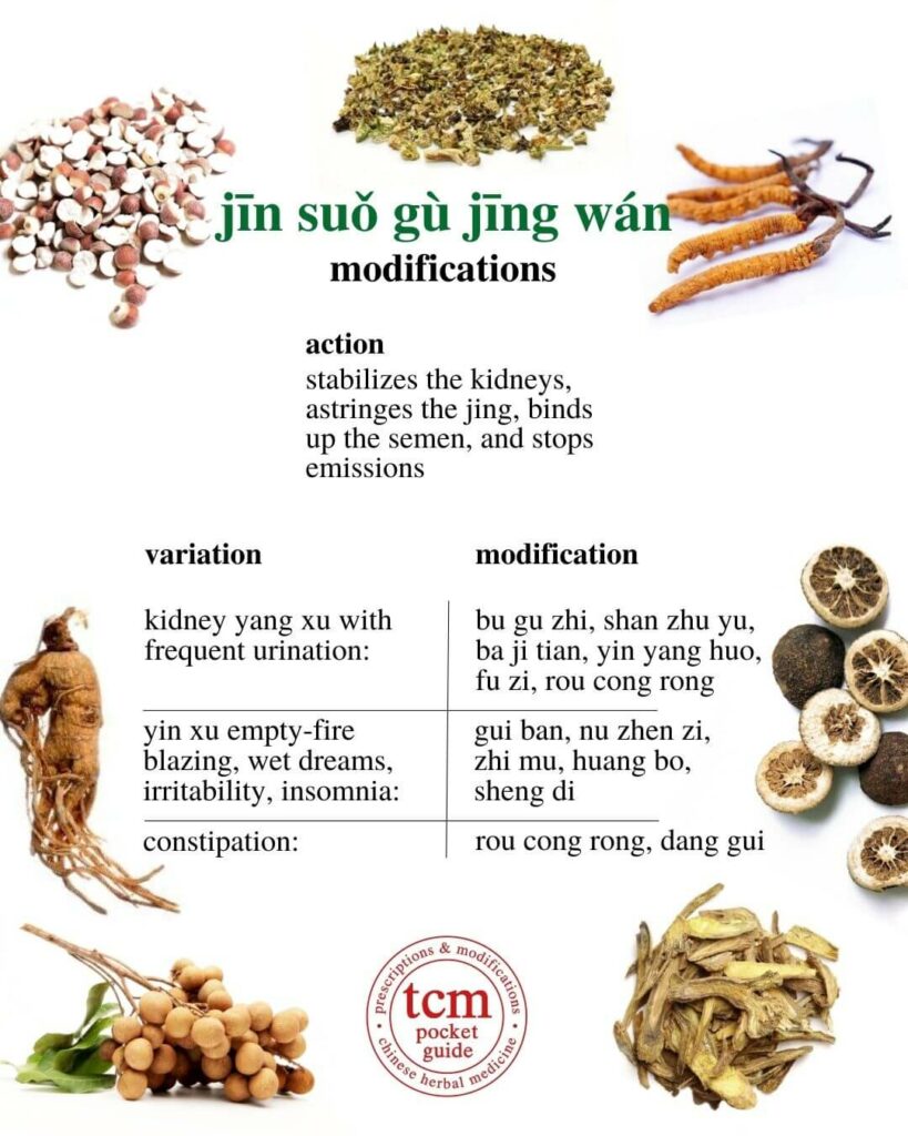 tcm pocketguide - jin suo gu jing wan • metal lock pill to stabilize the essence • 金锁固精丸 - modifications