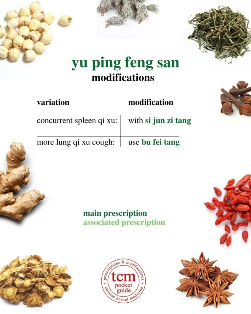 tcm pocketguide - yu ping feng san • jade windscreen powder • 玉屏风散 - modifications 2