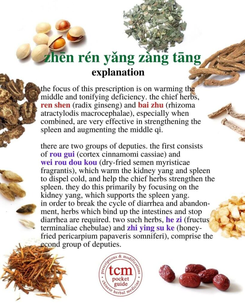 tcm pocketguide -zhen ren yang zang tang • true man's decoction to nourish the organs • 真人養臟汤 - explanation