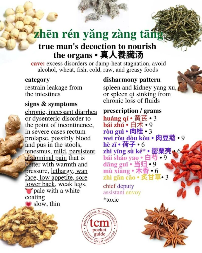tcm pocketguide -zhen ren yang zang tang • true man's decoction to nourish the organs • 真人養臟汤 - prescription