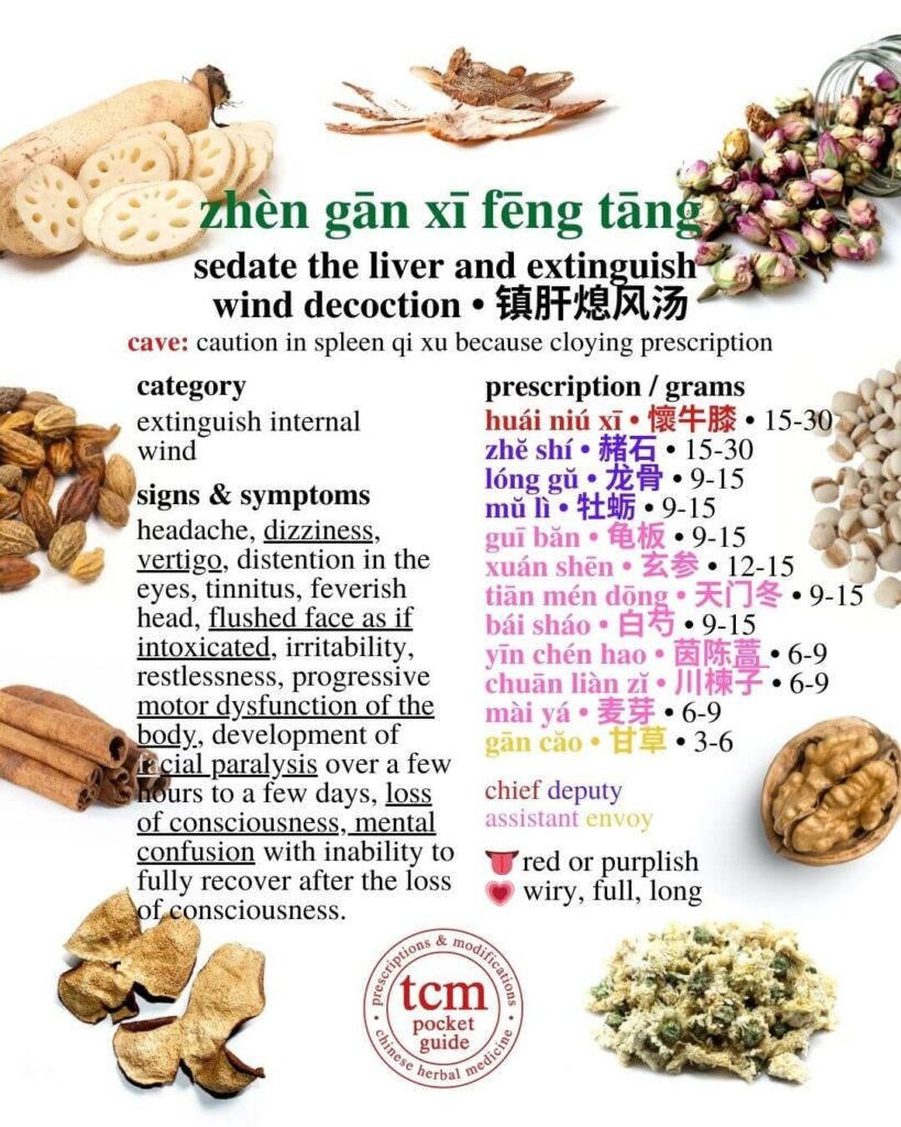 tcm pocketguide -zhen gan xi feng tang • sedate the liver and extinguish wind decoction • 镇肝熄风汤 - prescription