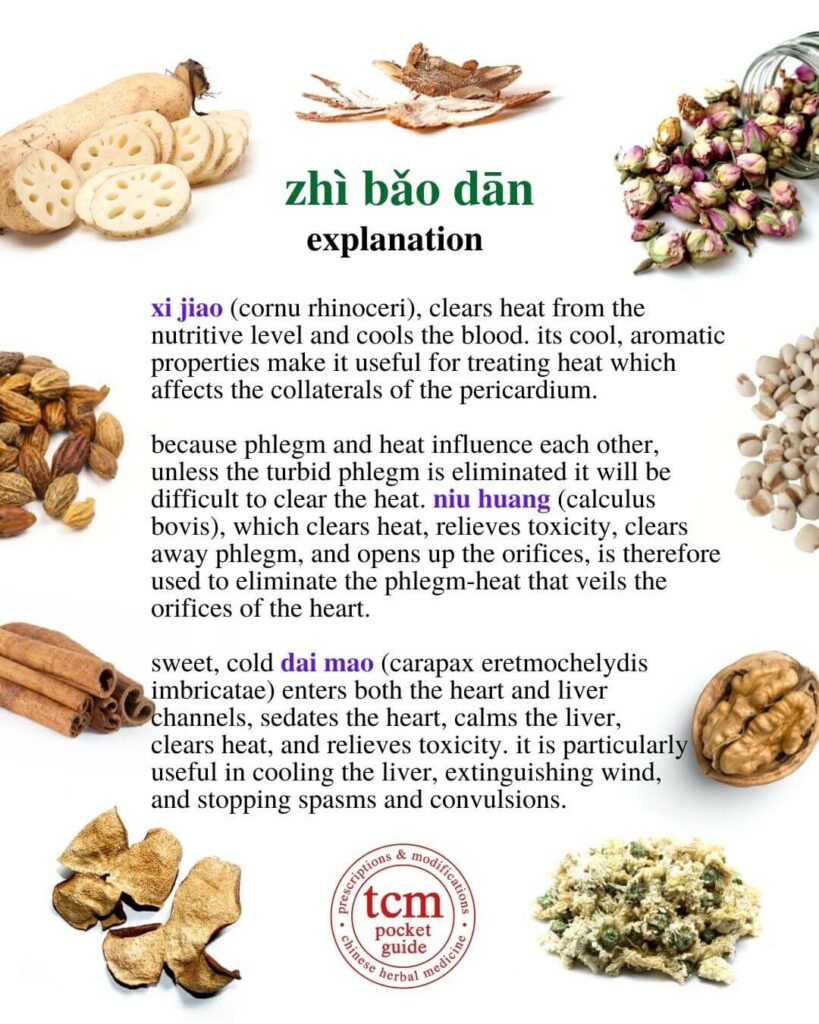 tcm pocketguide - zhi bao dan • greatest treasure special pill • 至寶丹 - explanation