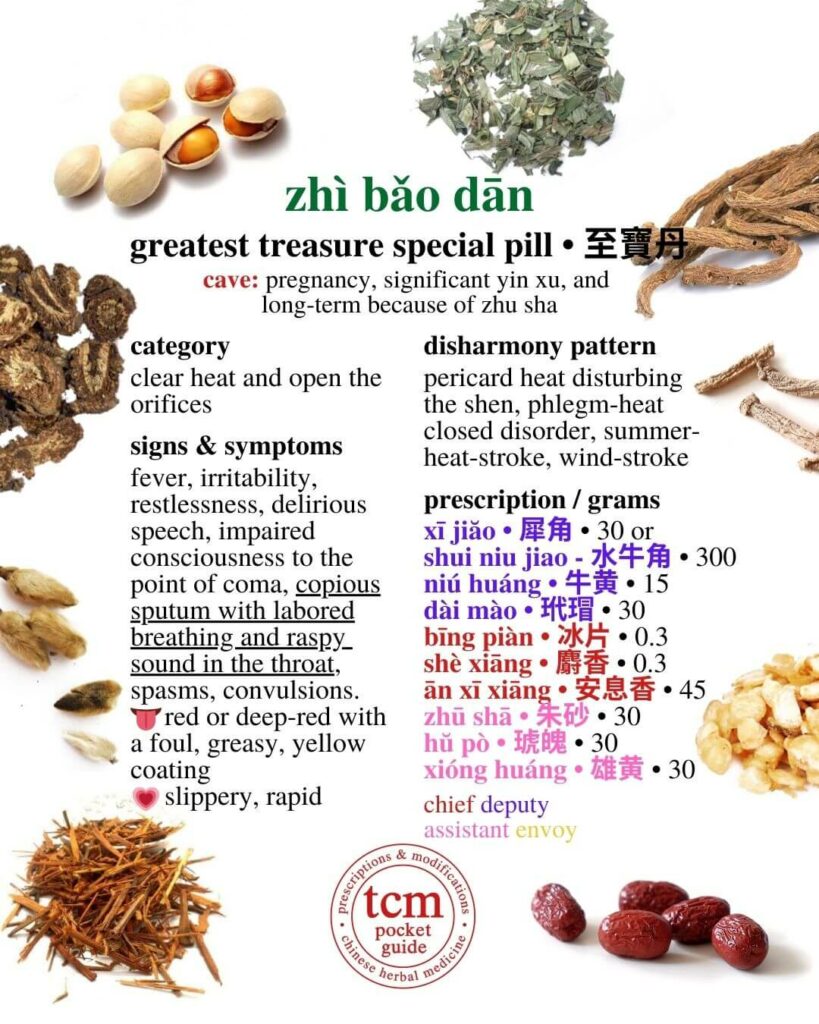 tcm pocketguide - zhi bao dan • greatest treasure special pill • 至寶丹 - prescription