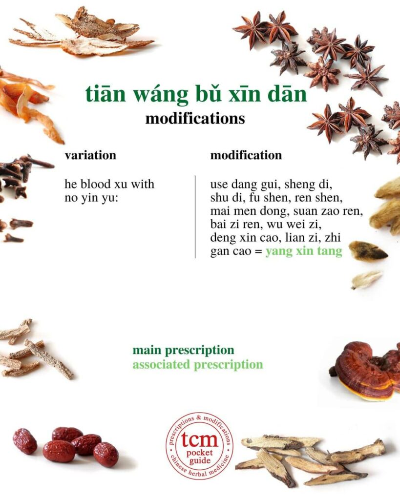 tcm pocketguide - tian wang bu xin dan • emperor of heaven's special pill to tonify the heart • 天王补心丹 - modification 3