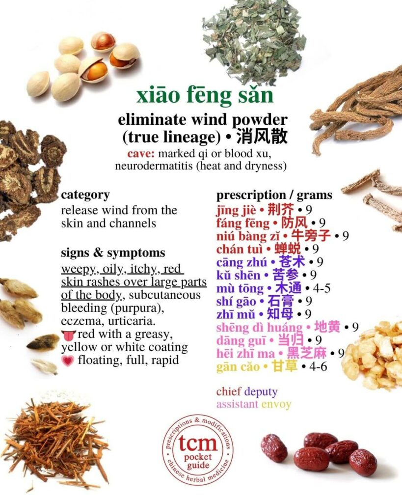 tcm pocketguide - xiao feng san • eliminate wind powder • 消风散 - prescription