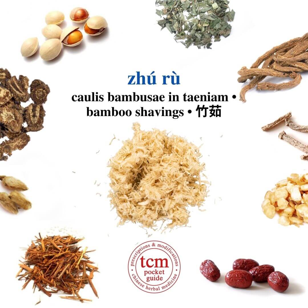 tcm pocketguide - zhu ru • caulis bambusae in taeniam • bamboo shavings • 竹茹 - herb